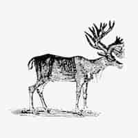 Free vector reindeer vintage style