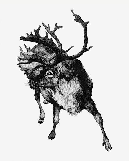 Reindeer vintage style