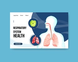Free vector respiratory system design for website template with human anatomy of lung