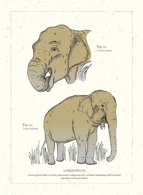 Free Vector retro hand drawn animal illustration