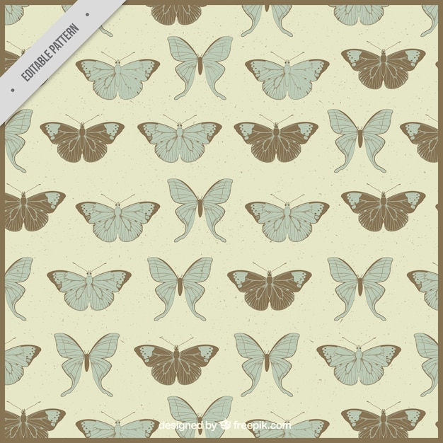 Retro pattern of hand drawn butterflies