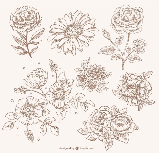 Retro sepia floral line art