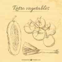 Бесплатное векторное изображение Шаблон ретро овощи иллюстрации