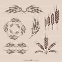 Free vector retro wheat collection