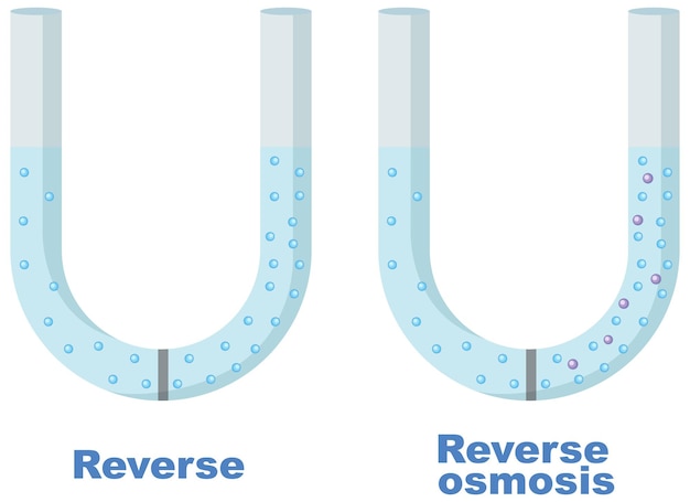 Free vector reverse osmosis desalination plant concept