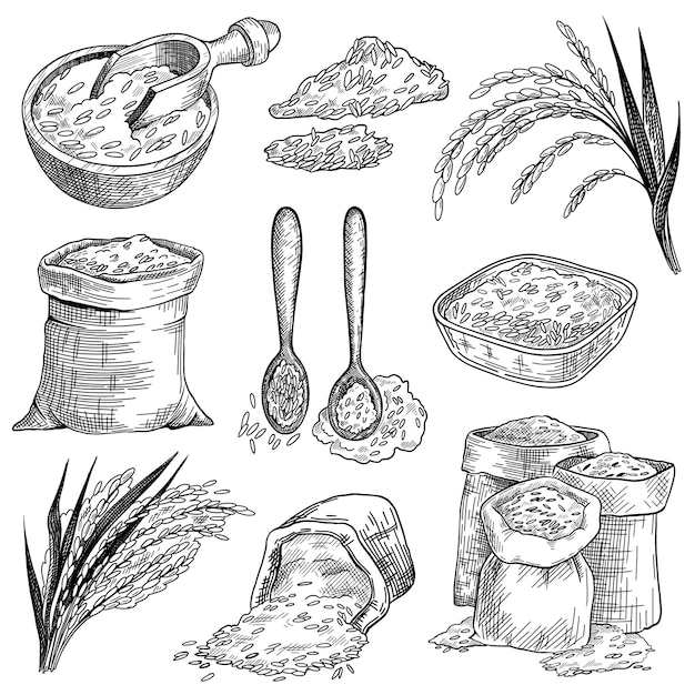 Набор эскизов зерна риса в мешках и мисках