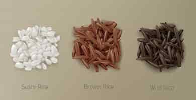 Бесплатное векторное изображение Рисовые суши, коричневые и дикие зерна сваи вид сверху