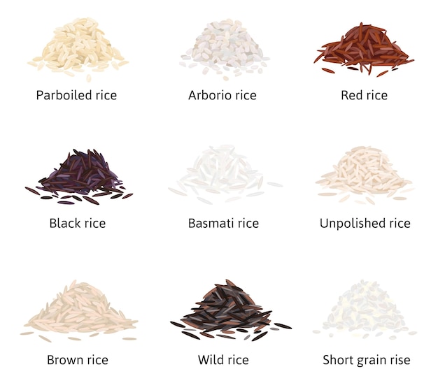 무료 벡터 쌀은 편집 가능한 텍스트 캡션 벡터 삽화가 있는 쌀 가루 더미가 있는 격리된 이미지의 플랫 세트입니다.