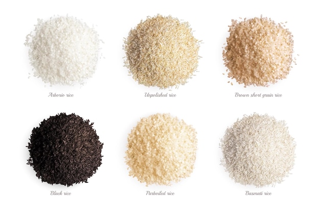 Varietà di riso raccolta realistica di arborio non lucidato marrone a grana corta nero parboiled tipi basmati isolato illustrazione vettoriale