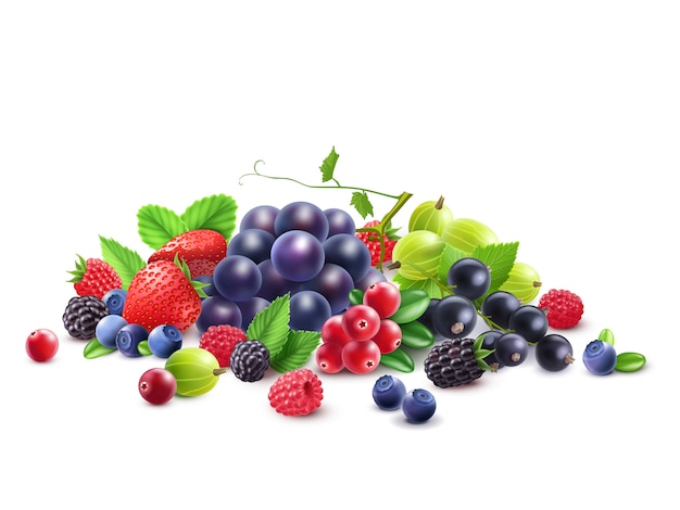 Ripe Berries Template