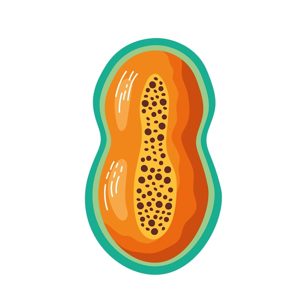 Fetta di papaya matura