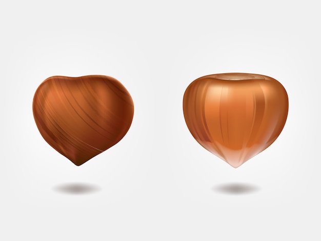 Free vector ripe and raw hazelnuts front view