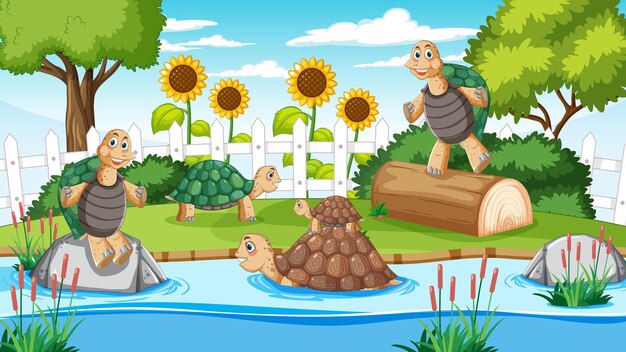 River in the forest with tortoises