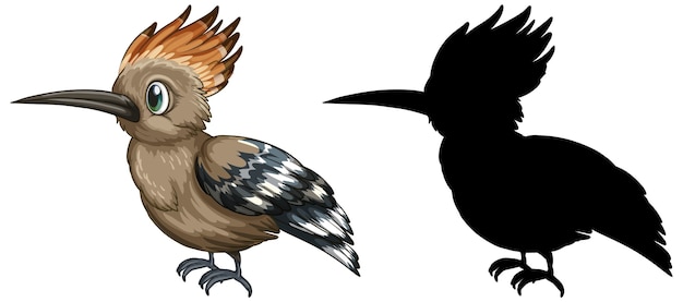 Roadrunner characters and its silhouette on white background