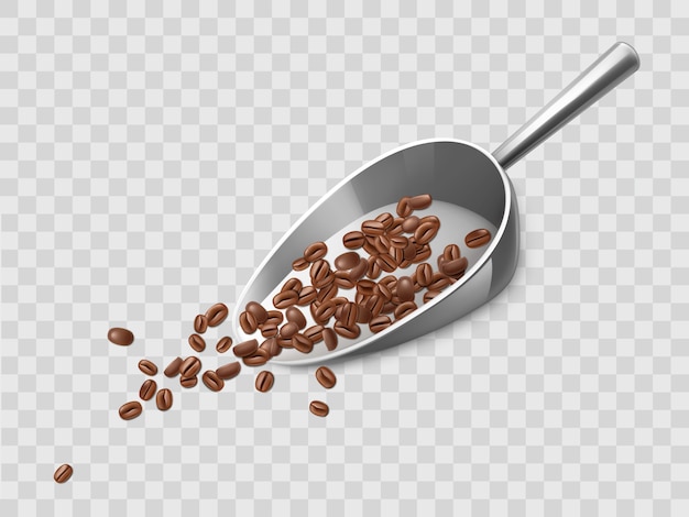 Roasted coffee beans on scoop realistic vector