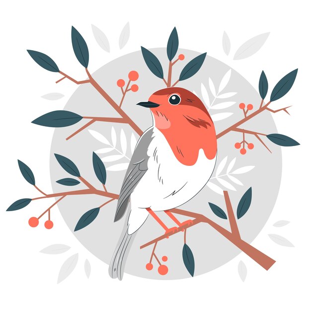 Robin bird concept illustration