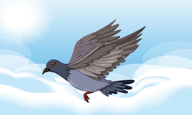 Free vector rock dove bird flying in the sky