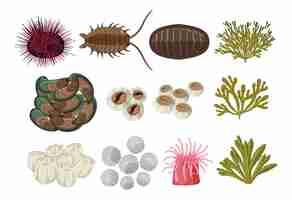 Free vector rocky shore animals collection