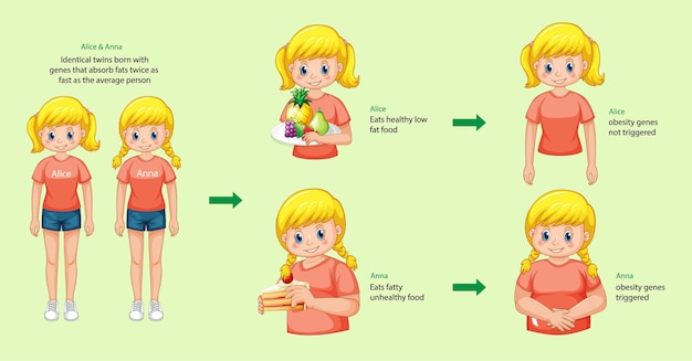 Roles of genes and environment. Body fat in identical twins infographic.