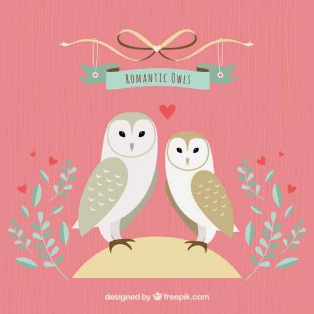 Free Vector romantic owls illustration