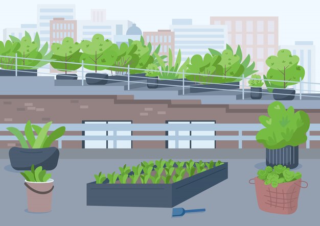 屋上ガーデニングカラーイラスト 鉢植えを栽培する屋外都市の場所 外で緑を育てます 背景の街並みと高層ビル屋根漫画外観 プレミアムベクター