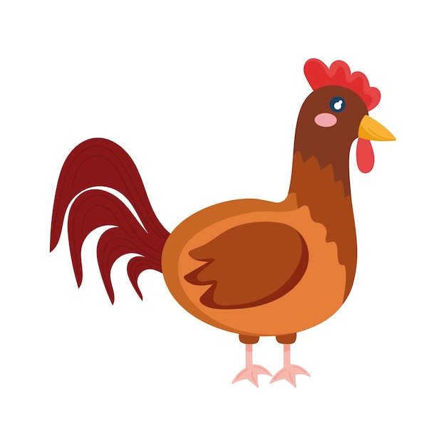 Free vector rooster farm animal