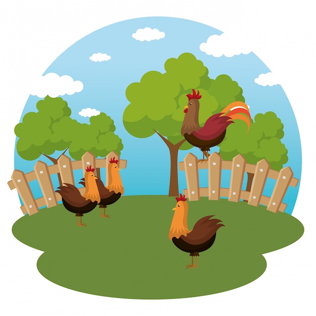 Free vector roosters in the farm scene