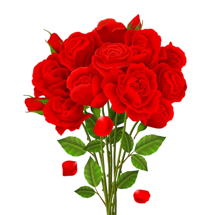 Free Vector rose bouquet illustration