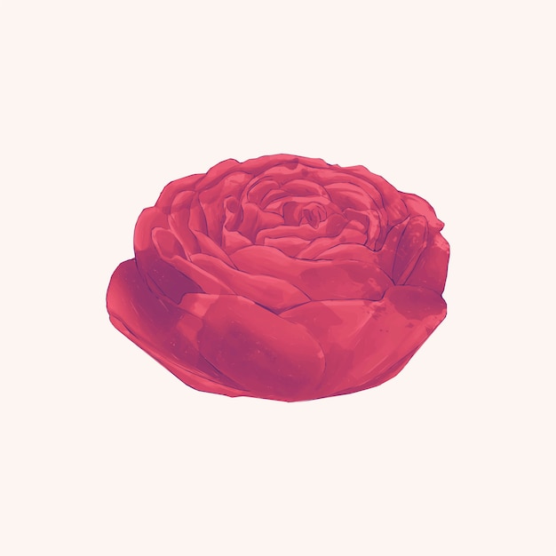 Бесплатное векторное изображение Роза