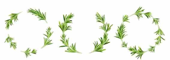 Free vector rosemary round frames circular border or wreath