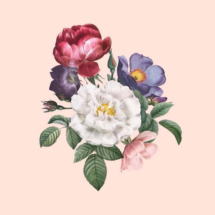 無料Vector バラの花