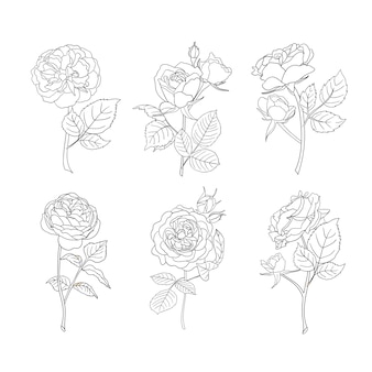 バラの線画 花のベクトルアイコン プレミアムベクター バラの線画 花のベクトルアイコン プレミアムベクター