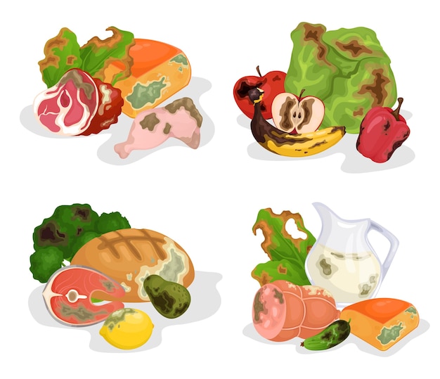 Бесплатное векторное изображение Концепция дизайна rotten food 2x2 из четырех композиций, состоящих из токсичных продуктов с истекшим сроком годности, изолированных векторных иллюстраций