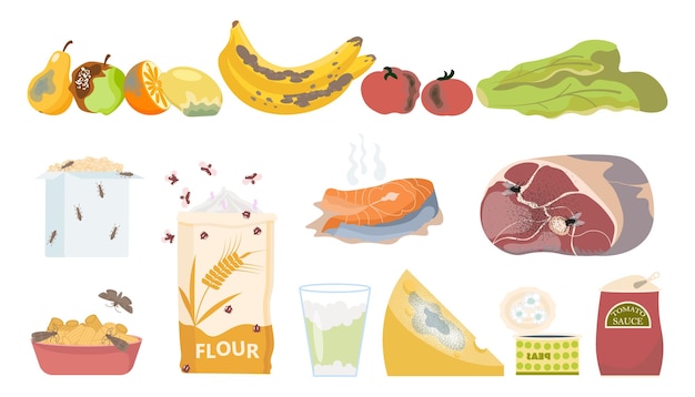 Rotten food icon set