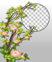 Free vector round frame transparent with pink flower branch template