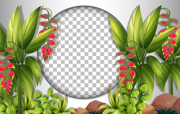 Free vector round frame transparent with tropical leaves template