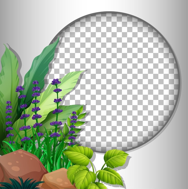 Round frame transparent with tropical leaves template