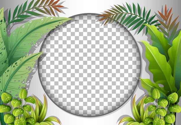 Cornice rotonda trasparente con modello di foglie tropicali