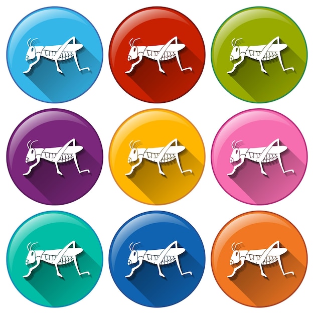 Free vector round icons with insects