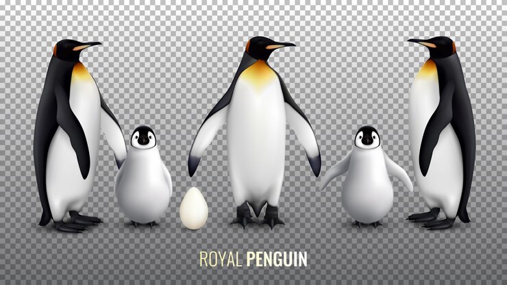 Free Vector royal penguin realistic set with with egg chick and  adult birds on transparent