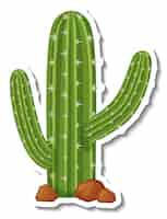 Vettore gratuito pianta di cactus saguaro su sfondo bianco