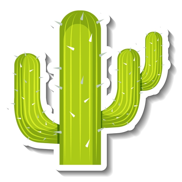 Free vector saguaro cactus plant on white background