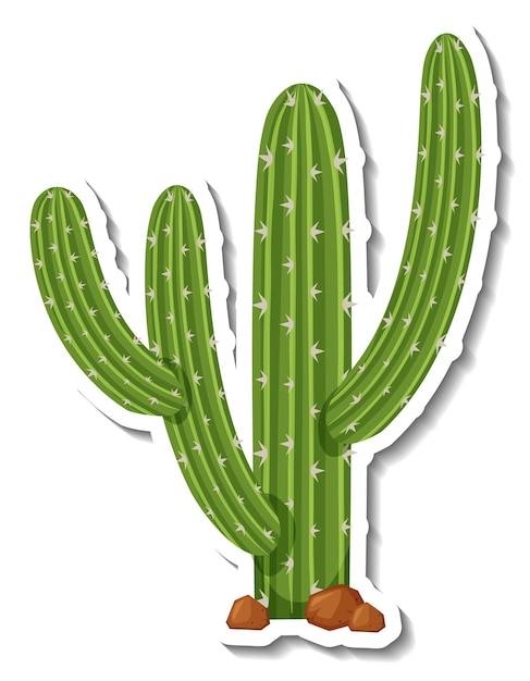 Cactus PNG, Vector, PSD, and Clipart With Transparent Background for Free  Download