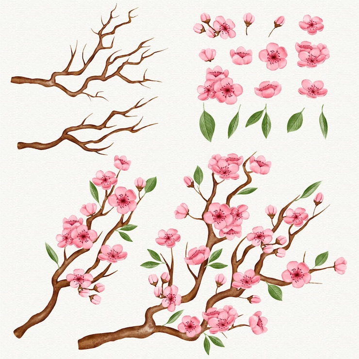 Free Vector sakura branches collection