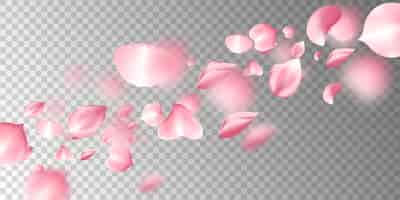 Бесплатное векторное изображение Сакура летающие лепестки на прозрачном фоне