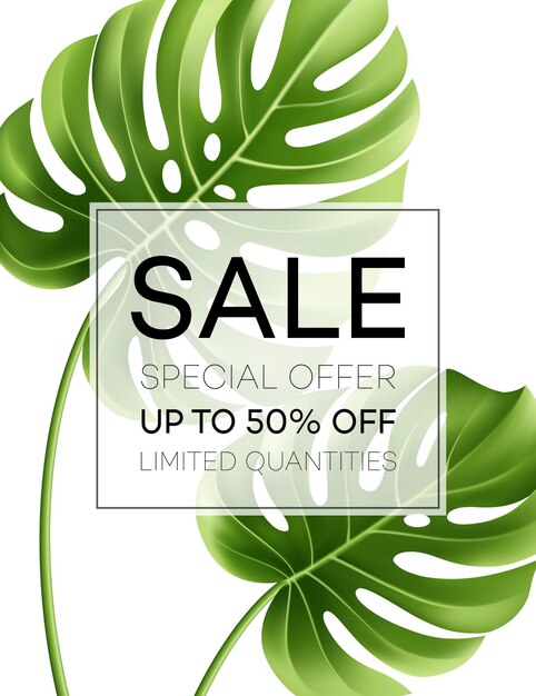 Sale banner or poster with palm leaves and jungle leaf. Floral tropical summer background.