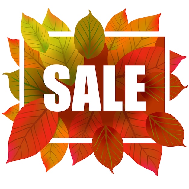 Sale lettering in frame. Creative inscription with colorful autumn leaves. 