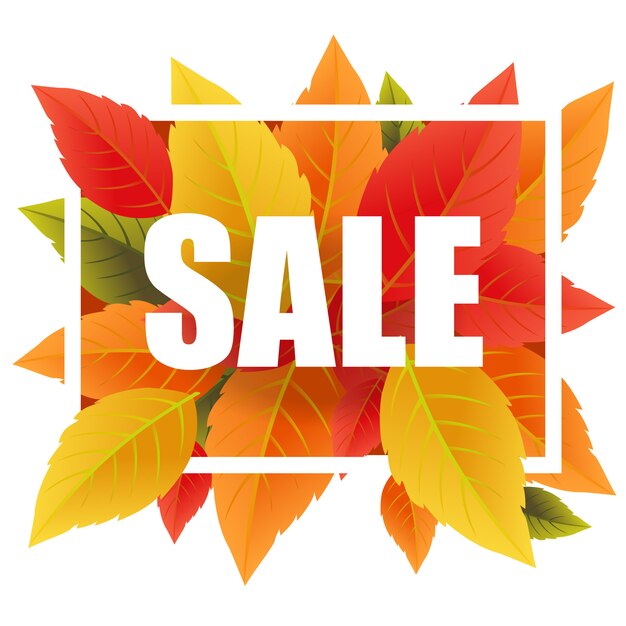 Sale lettering with colorful leaves. Creative inscription in white frame. 