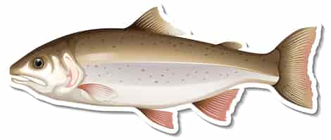 Free vector salmon fish cartoon sticker