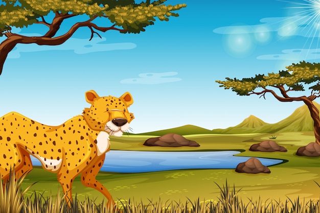 Savanna scene with cheetah